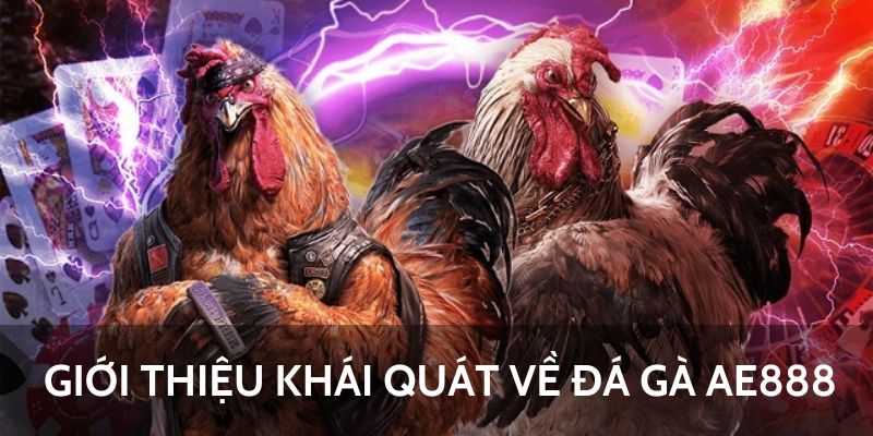 Chuyên mục giải trí ăn khách hiện nay